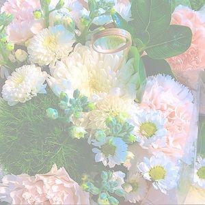 !!!!!I LOVE OFFERS!!!!!!!!!!!!